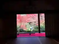 金剛輪寺の庭園