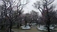 北野天満宮の庭園