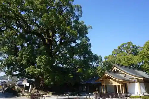 太宰府天満宮の自然