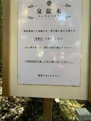 泉神社(茨城県)