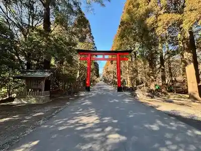 霧島神宮(鹿児島県)