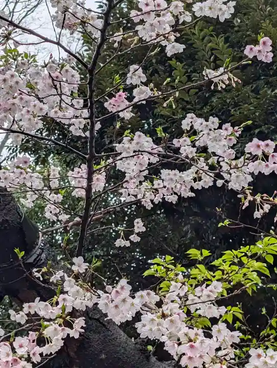 白幡八幡神社(神奈川県)