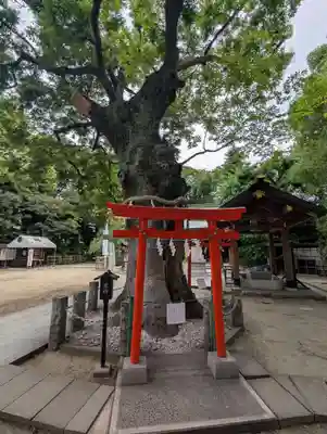 新田神社(東京都)