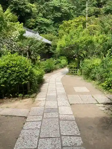 黄梅院（円覚寺塔頭）(神奈川県)