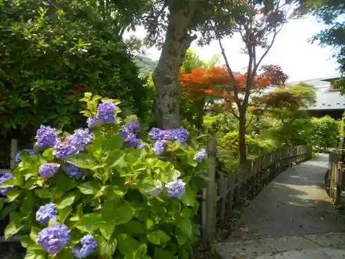 光触寺の庭園