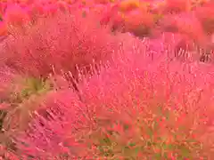 遠照寺(山梨県)