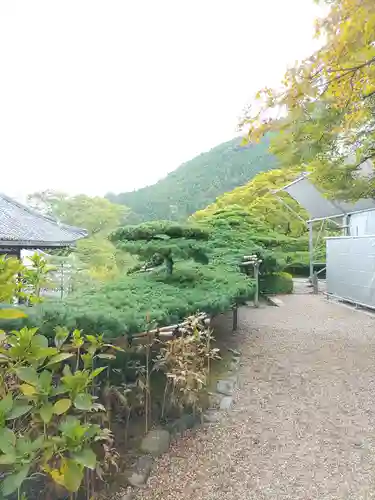 善峯寺(京都府)