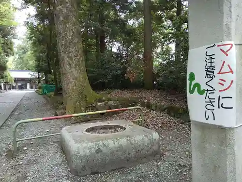 雄山神社前立社壇の建物その他