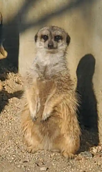 鑁阿寺(栃木県)