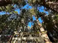 大洲七椙神社(長野県)