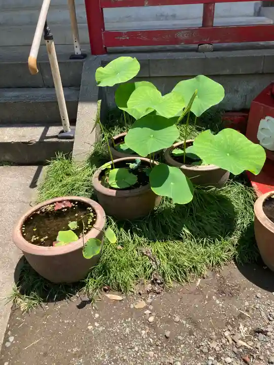 成就院(神奈川県)