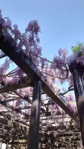 相馬神社の自然