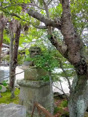 小名浜諏訪神社の狛犬