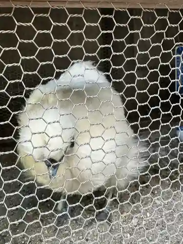 櫻木神社(東京都)