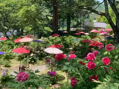 遠照寺(長野県)