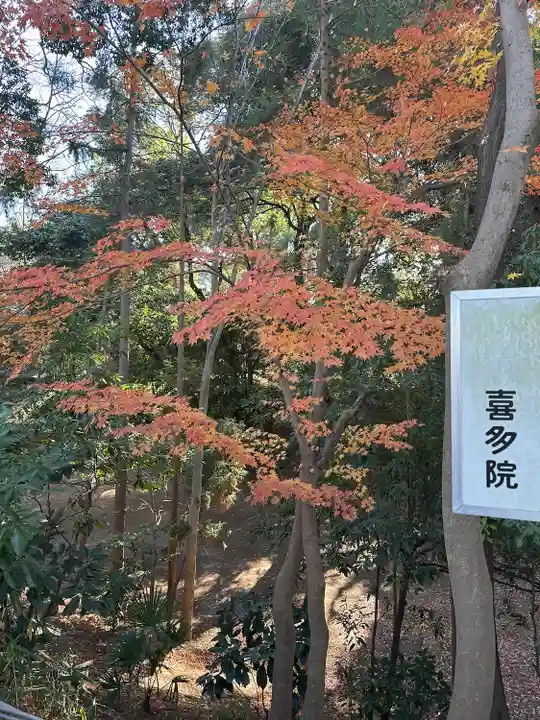 喜多院(埼玉県)
