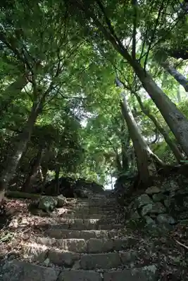 大山阿夫利神社の周辺