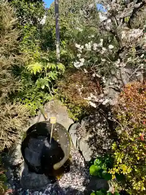 栄松院(東京都)