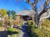 東高院の本殿・本堂