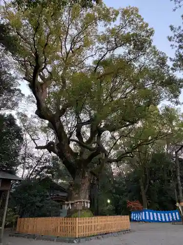 熱田神宮の自然