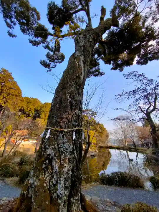 大原野神社(京都府)