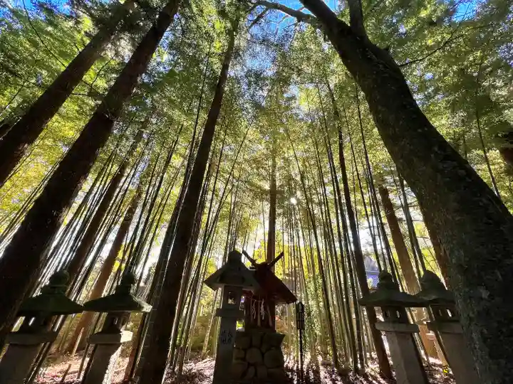 大宮熱田神社の自然