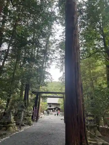 椿大神社(三重県)