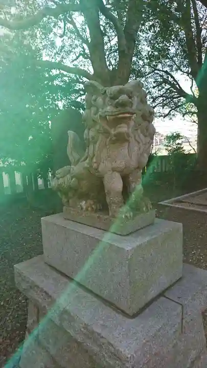 小金八坂神社の狛犬