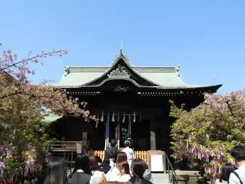 桜神宮(東京都)