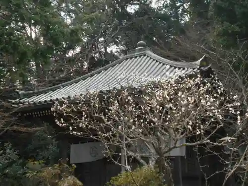 安國論寺（安国論寺）のその他建物