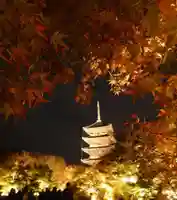 東寺(教王護国寺)(京都府)