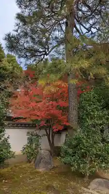 平等院(京都府)