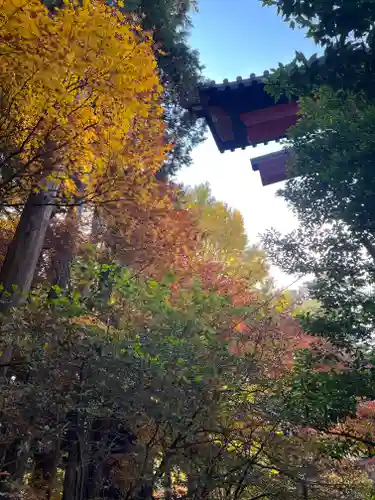 北口本宮冨士浅間神社の景色