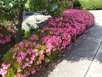 西栄寺(千葉県)