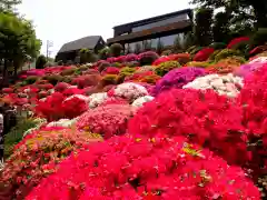 根津神社の景色