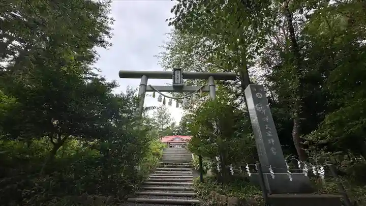 天津神明宮(千葉県)