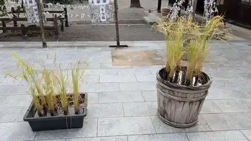 射水神社の庭園