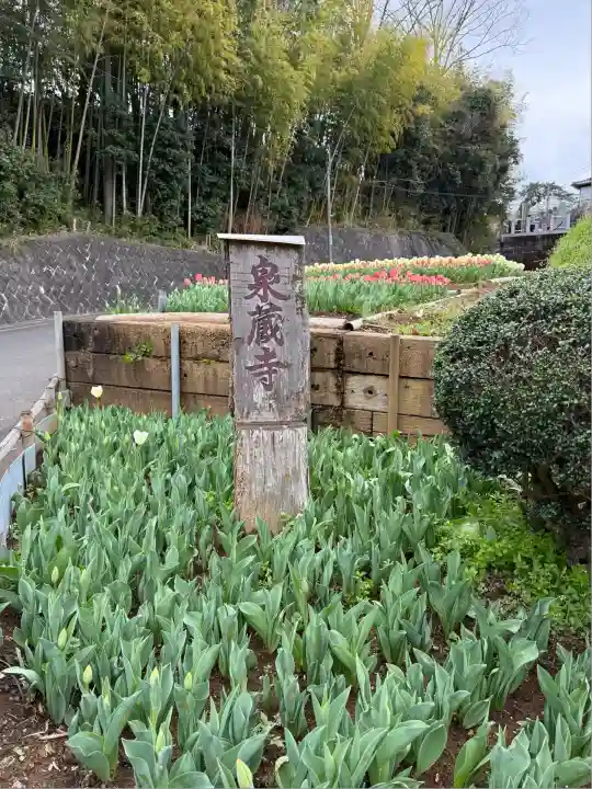 泉蔵寺(神奈川県)