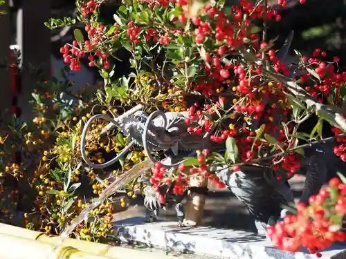 今市報徳二宮神社の手水舎