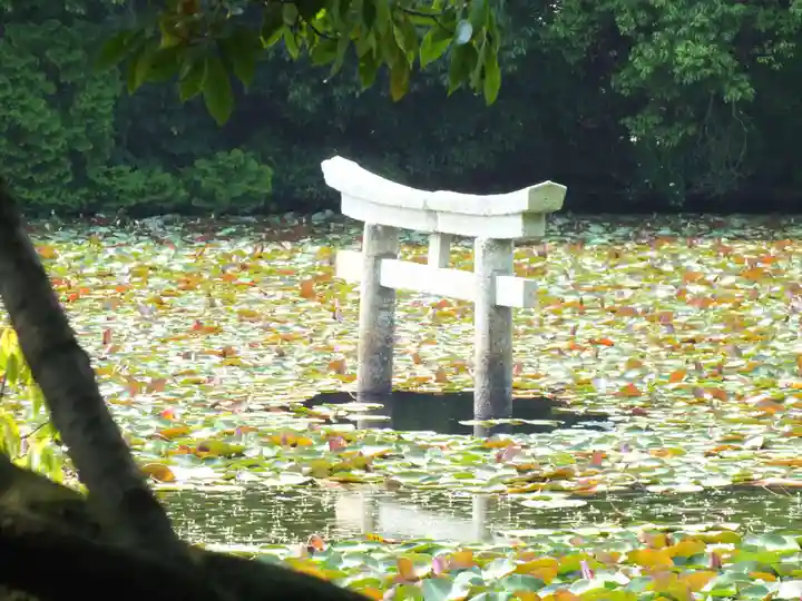 八幡神社(滋賀県)