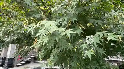 傑山寺(宮城県)