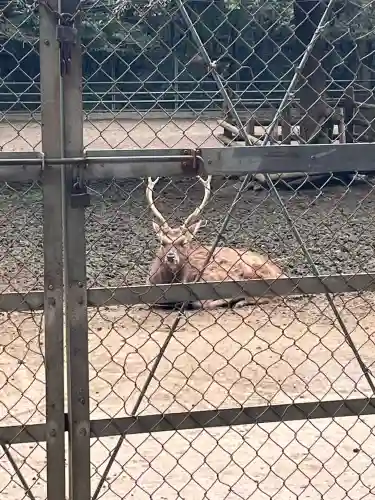 鹿島神宮の{uncategorized: "未分類", other: "その他", undefined: "問題あり", building: "その他建物", grave: "お墓", sacred_gate: "鳥居", guardian: "狛犬", statue: "像", buddha: "仏像", history: "歴史", nature: "自然", garden: "庭園", animal: "動物", pagoda: "塔", temizu: "手水舎", mountain_gate: "山門・神門", sanctuary: "本殿・本堂", subordinate: "末社・摂社", art: "芸術", scenery: "景色", jizo: "地蔵", ema: "絵馬", goshuin: "御朱印", omikuji: "おみくじ", items: "授与品その他", amulet: "お守り", goshuincho: "御朱印帳", eats: "食事", festival: "お祭り", votive_dance: "神楽", shichigosan: "七五三参", wedding: "結婚式", experience: "体験その他", initially: "初詣", around: "周辺", anti_infection: "感染症対策"}