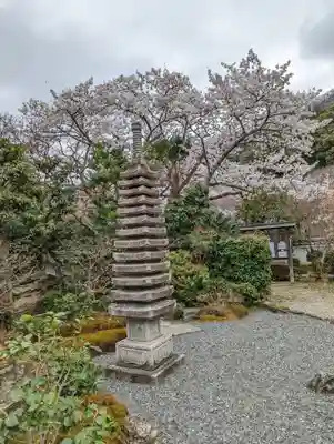 勝持寺(花の寺)の塔