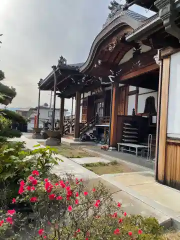 遍照院の本殿・本堂