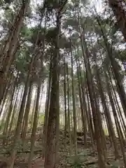 河上神社の周辺