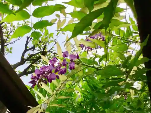 堀切天祖神社の庭園
