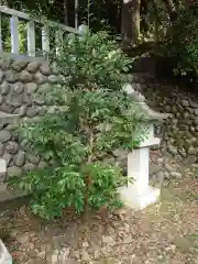 赤尾渋垂郡辺神社(静岡県)