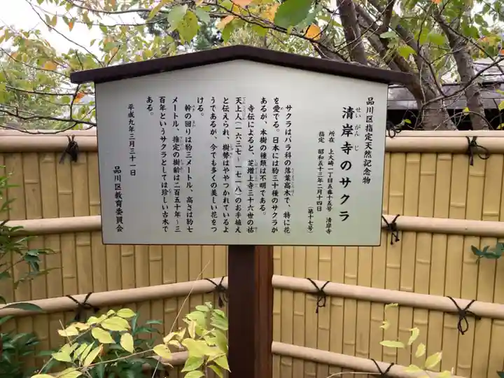 清岸寺(東京都)