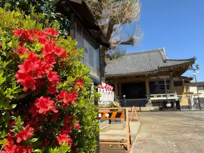 福王山  慈眼寺(東京都)