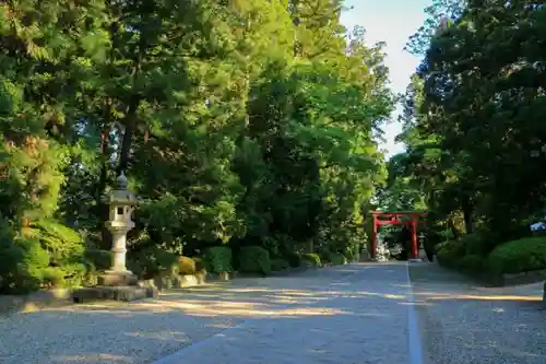 大崎八幡宮の建物その他